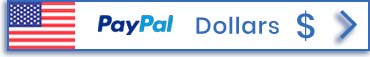 Pay via PayPal in US Dollars – BIU